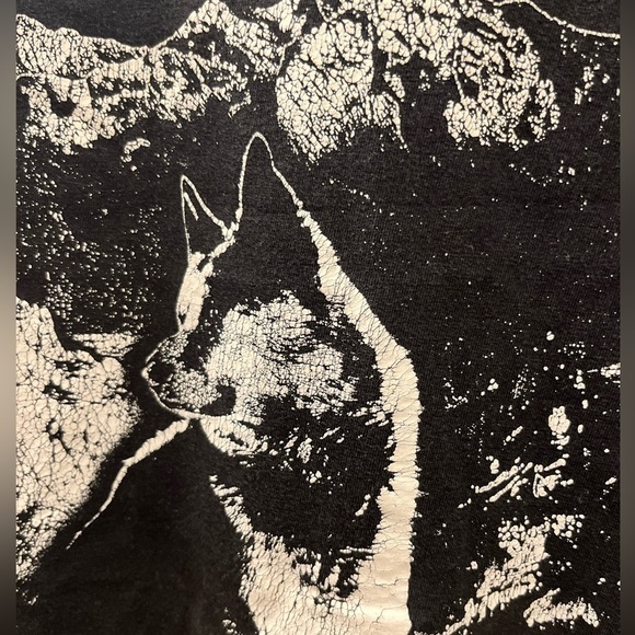 DIESEL T-Diegos-A7 Wolves And mountain print black T-Shirt - Picture 14 of 14